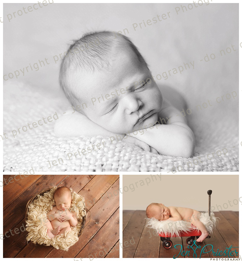 Royal Oak Michigan Newborn Photographer