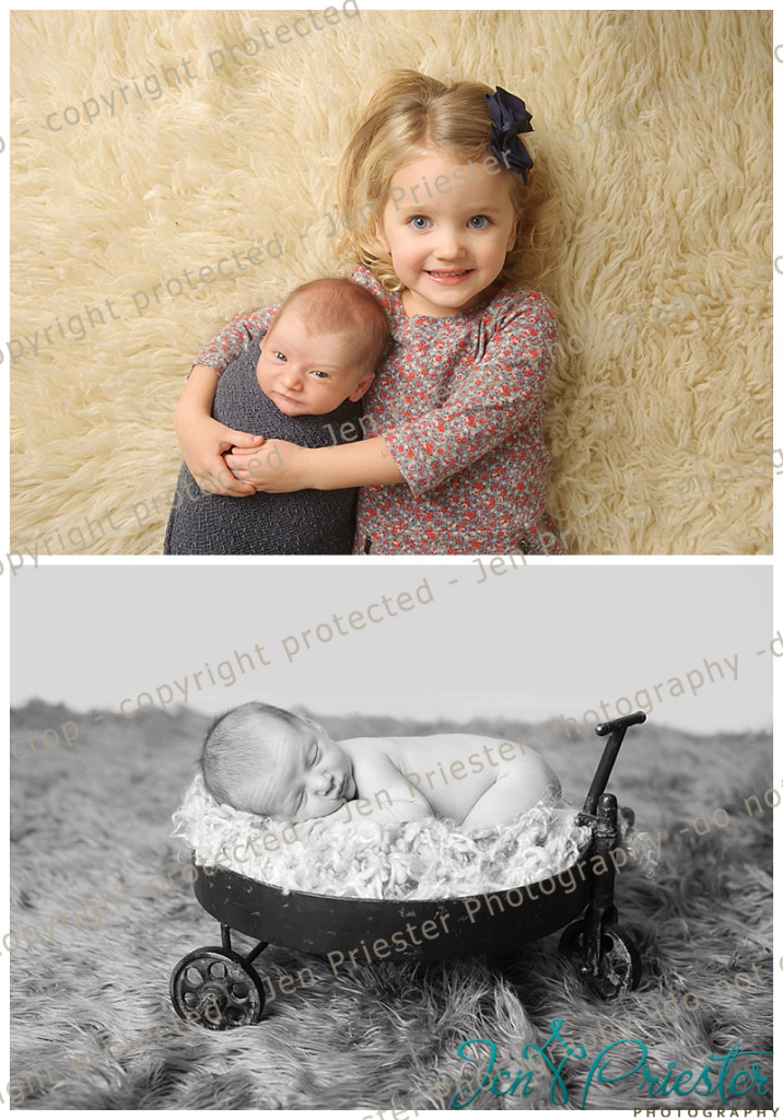 Royal Oak Michigan Newborn Photographer