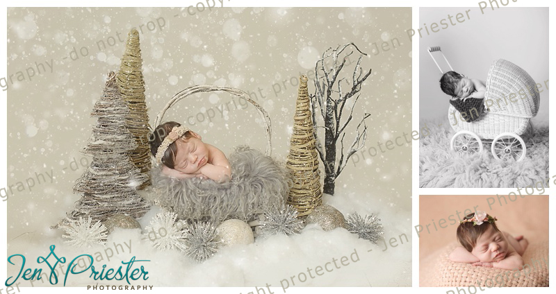 Troy Michigan Newborn Photographer