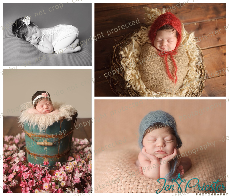 Troy Michigan Newborn Photographer