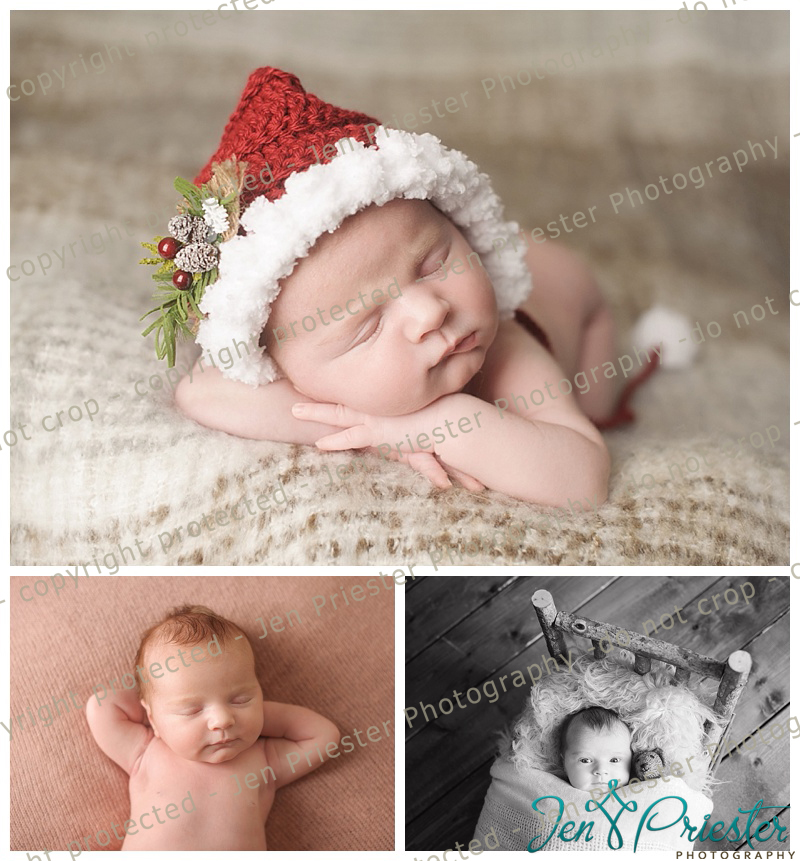 Birmingham Michigan Newborn Photographer