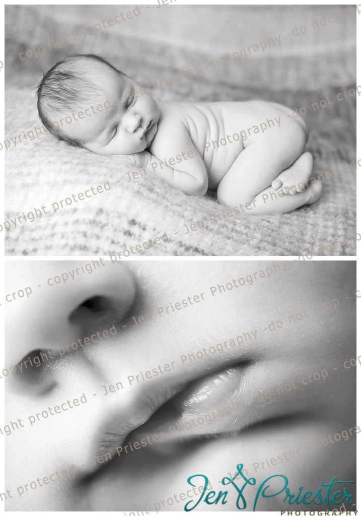 Birmingham Michigan Newborn Photographer