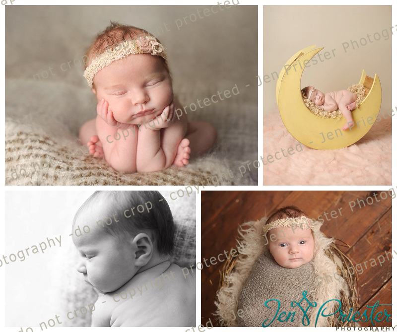 Birmingham Michigan Newborn Photographer