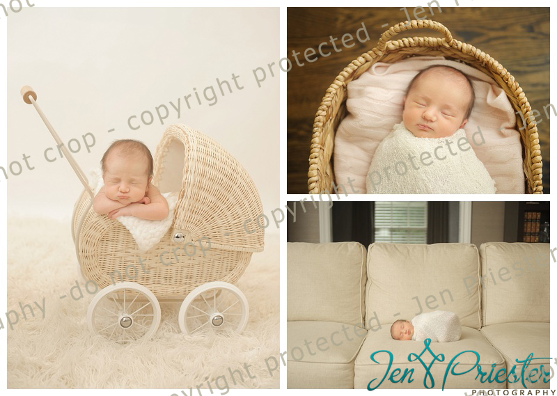 Royal Oak Michigan Newborn Photographer