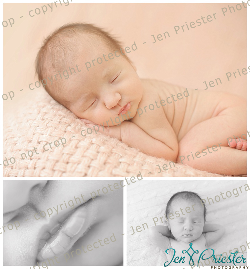 Royal Oak Michigan Newborn Photographer