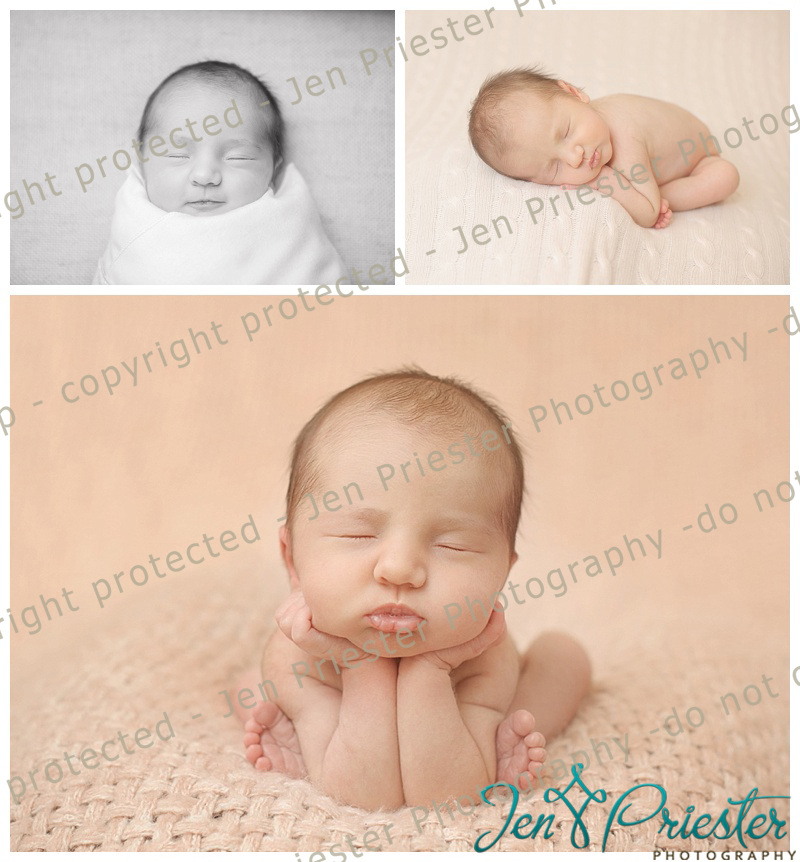 Royal Oak Michigan Newborn Photographer