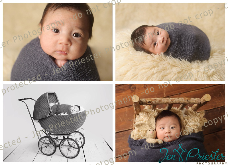 Canton Michigan Newborn Photographer