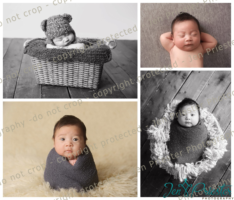 Canton Michigan Newborn Photographer
