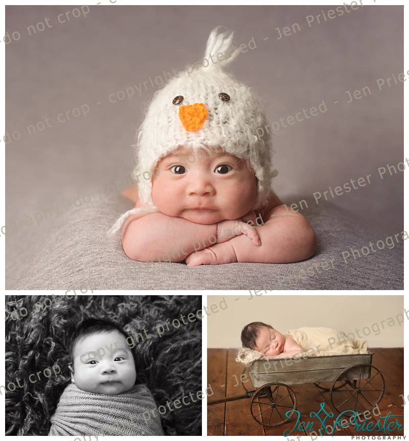 Canton Michigan Newborn Photographer