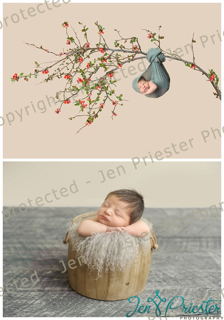 Birmingham Michigan Newborn Photographer