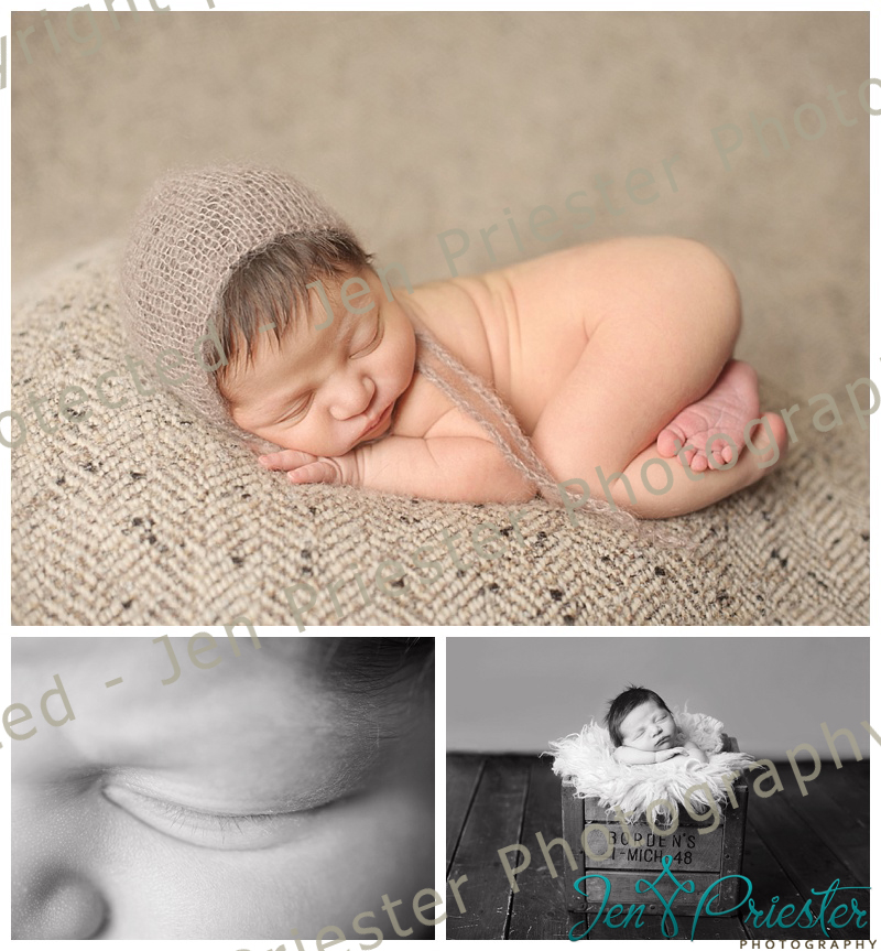 Birmingham Michigan Newborn Photographer