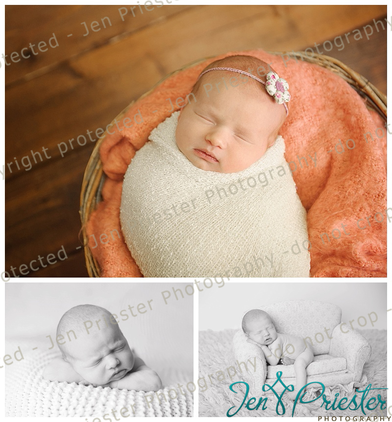 northville michigan newborn photographer
