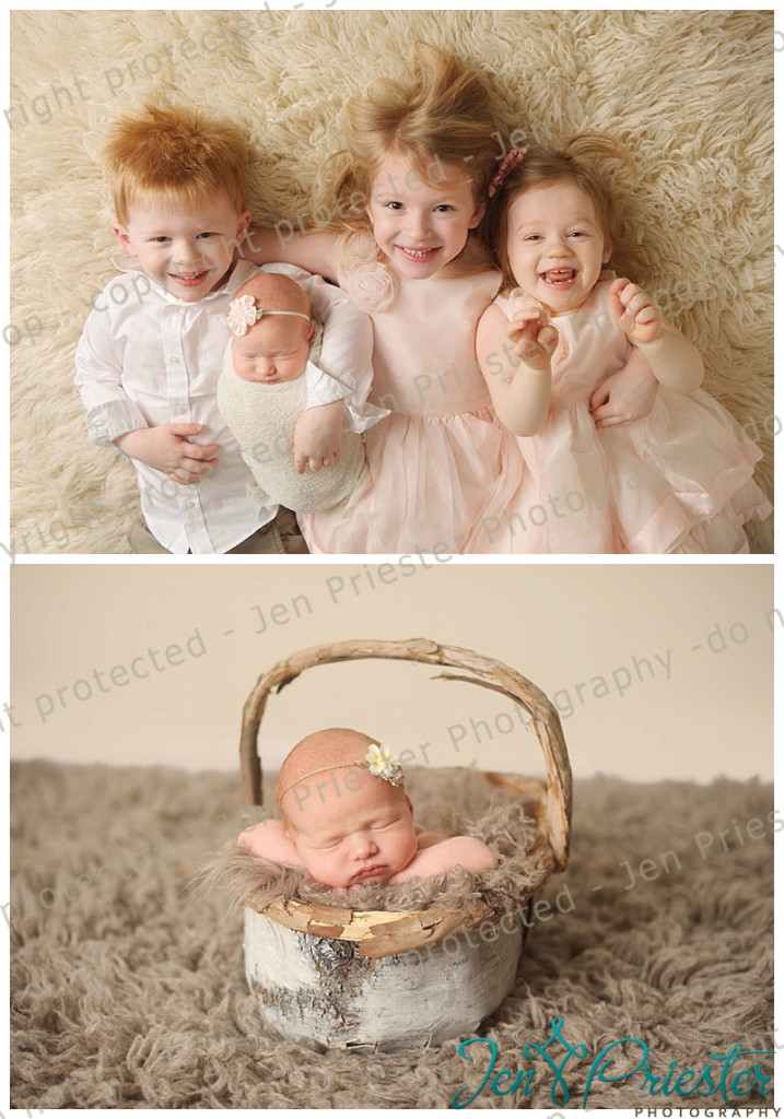 northville michigan newborn photographer