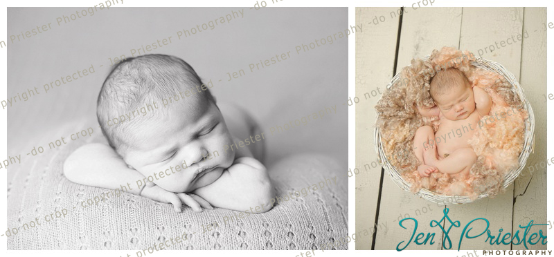 Royal Oak Michigan Newborn Photographer
