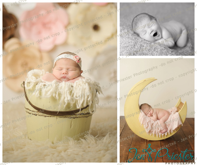 Royal Oak Michigan Newborn Photographer