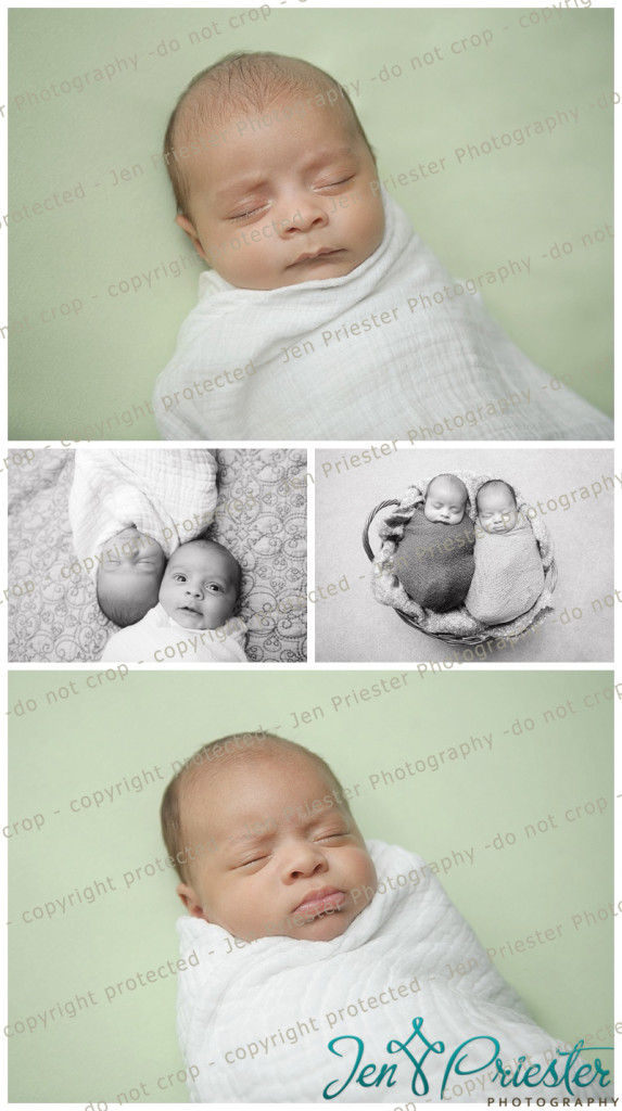 Macomb Michigan Baby Twin Newborn Photographer