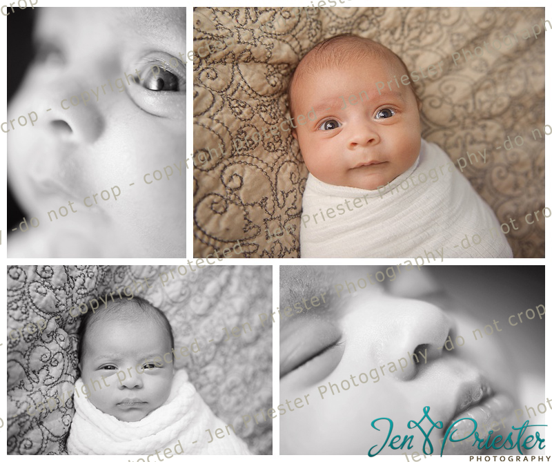 Macomb Michigan Baby Twin Newborn Photographer