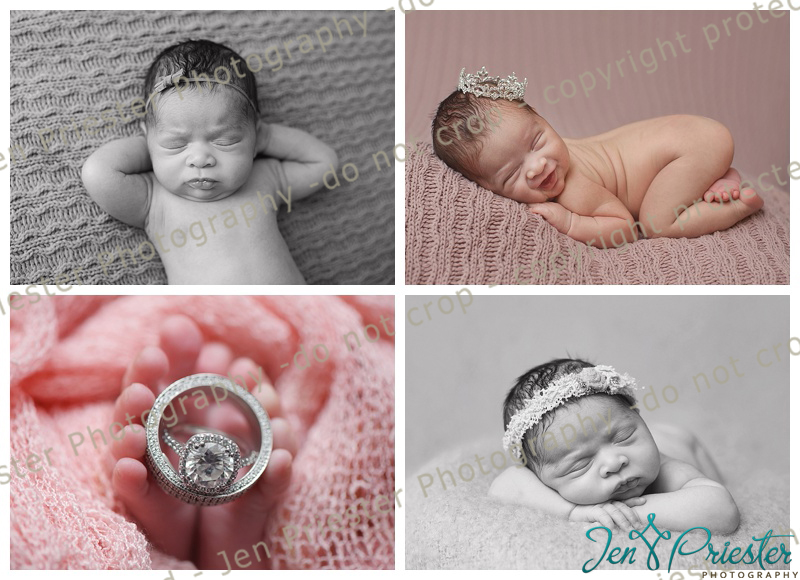 royal oak michigan newborn photographer
