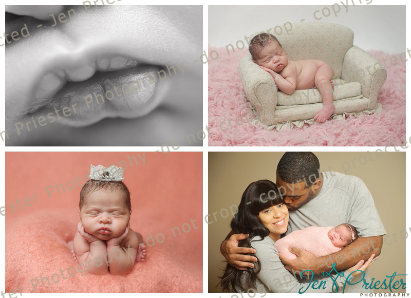royal oak michigan newborn photographer