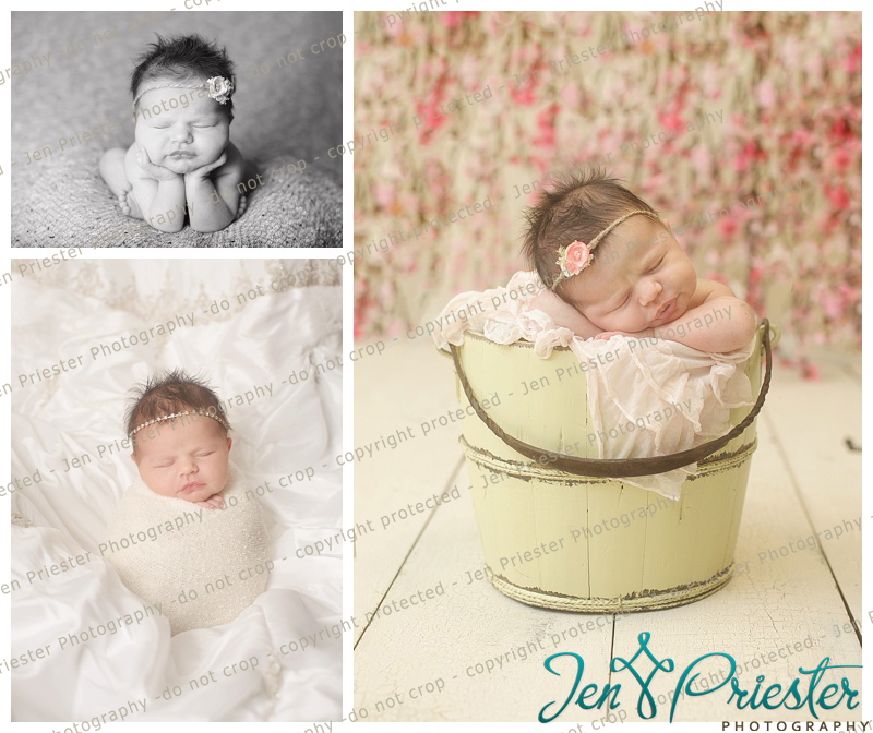 Ann Arbor Michigan Newborn Photographer