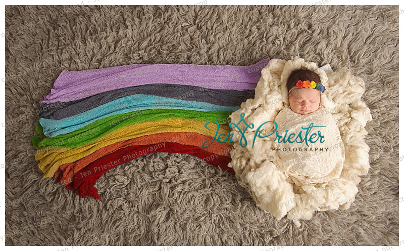 Ann Arbor Michigan Newborn Photographer Rainbow Baby Born after Loss