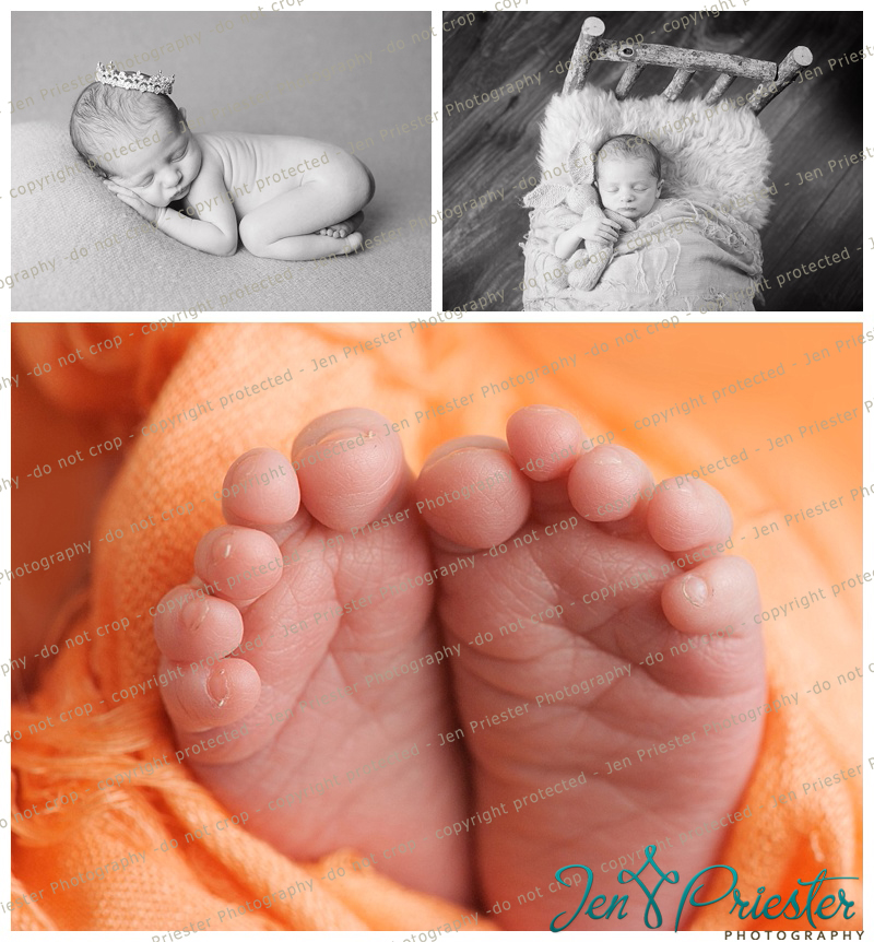 Canton Michigan Best Newborn Photographer