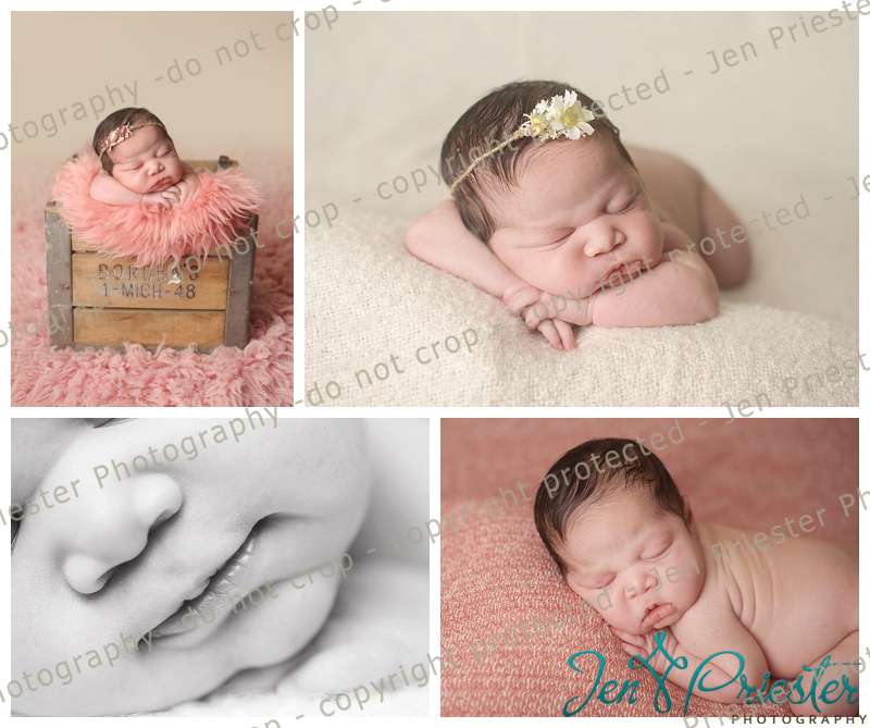 Newborn Photography in royal oak michigan