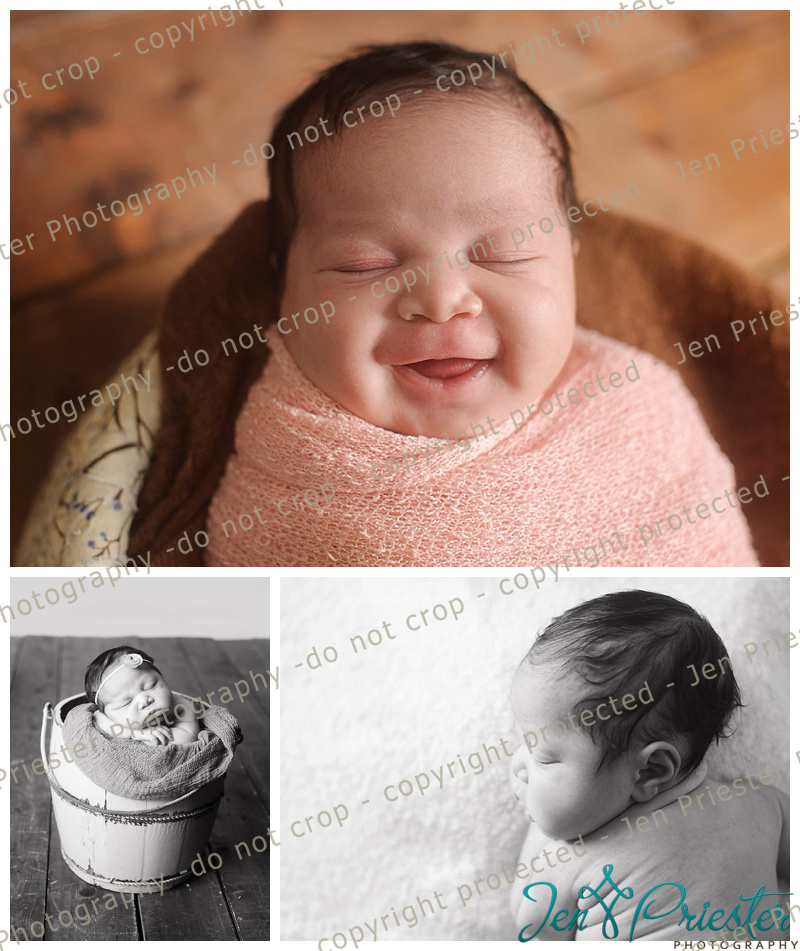 Newborn Photography in royal oak michigan