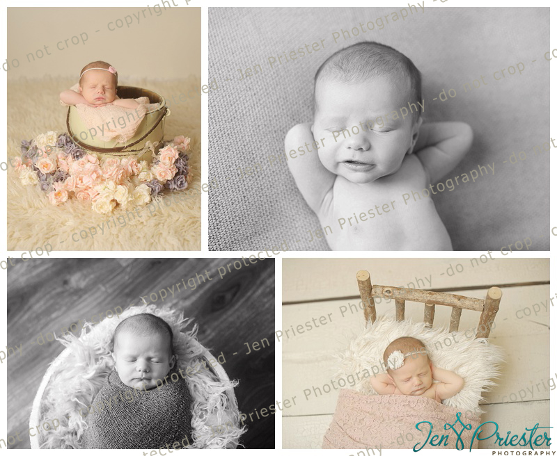 Macomb MI newborn photographer