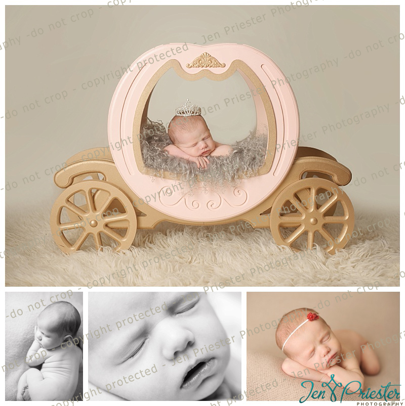 Macomb MI newborn photographer
