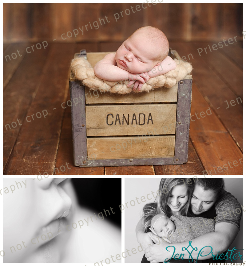 shelby township michigan newborn photographer