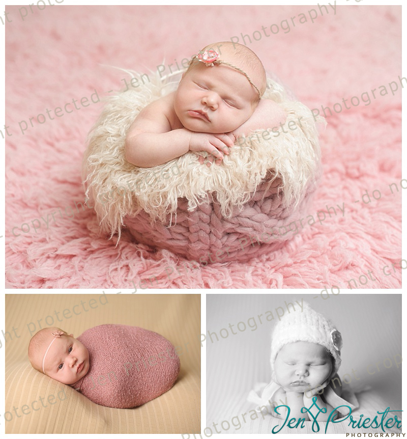 shelby township michigan newborn photographer