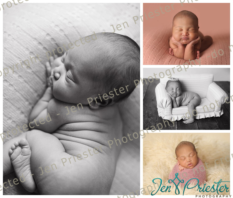 Shelby Township Michigan Newborn Photographer