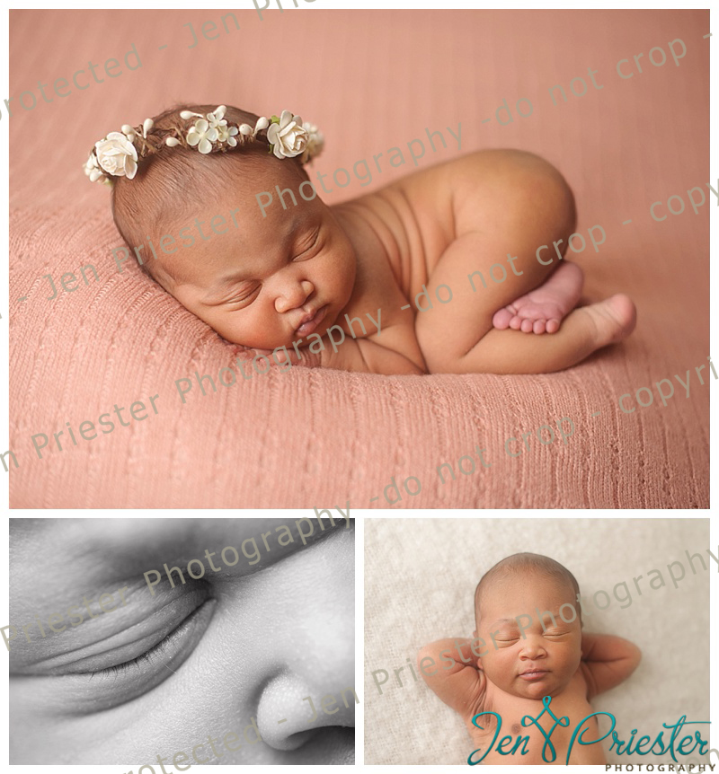 Shelby Township Michigan Newborn Photographer