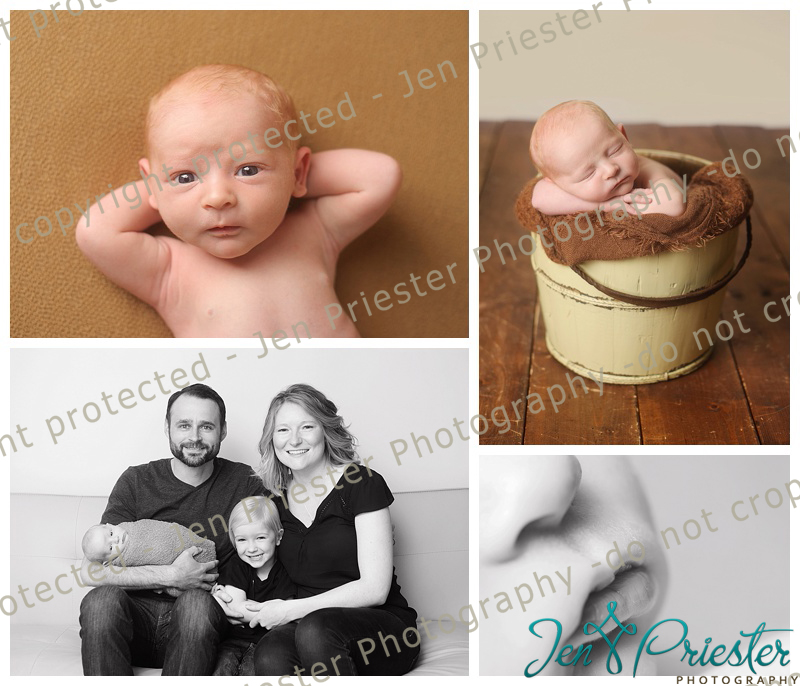 Royal Oak Michigan Newborn Photographer