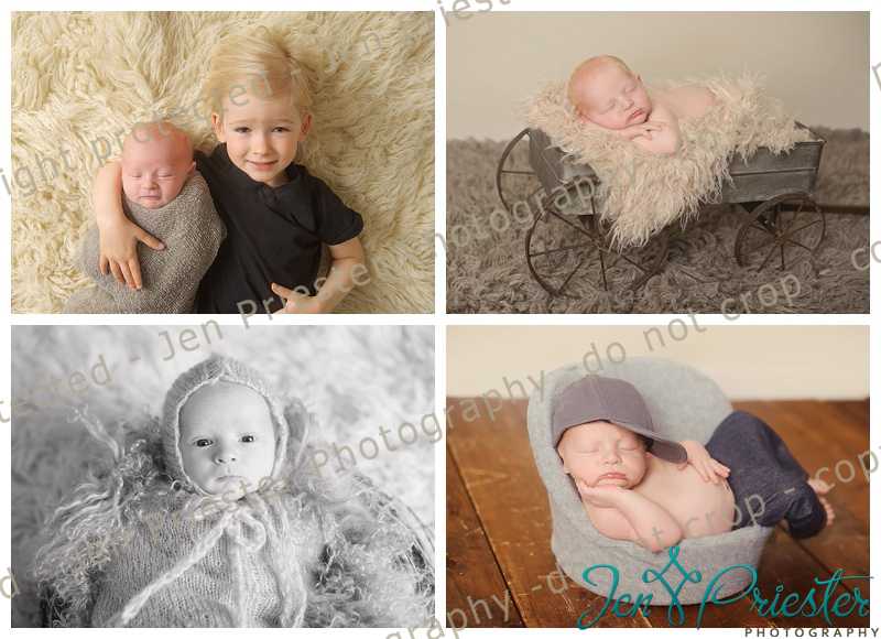 Royal Oak Michigan Newborn Photographer