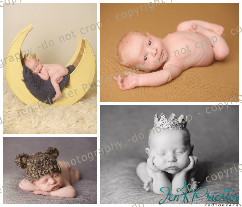 Royal Oak Michigan Newborn Photographer