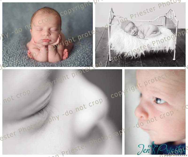 Northville Michigan Newborn Photographer