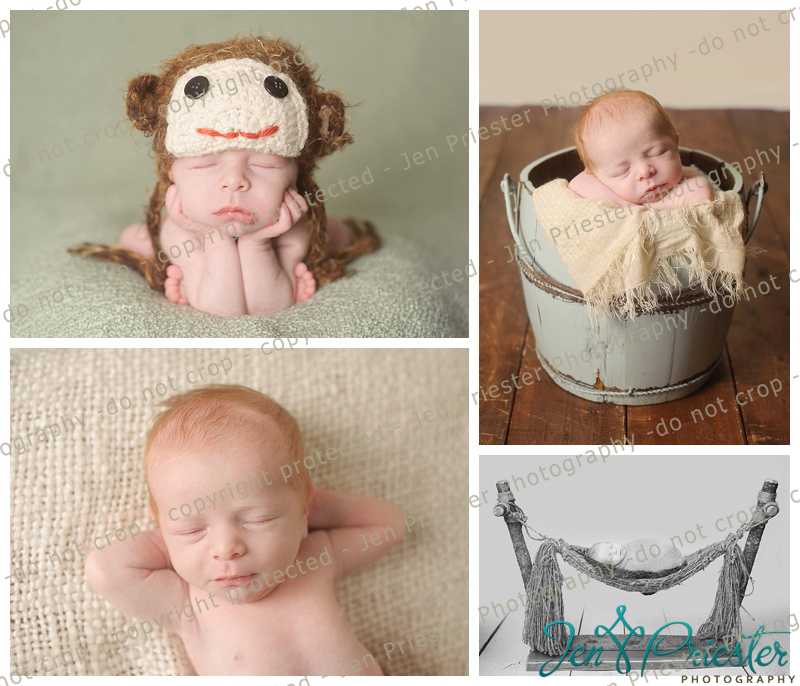 Rochester Michigan Newborn Photographer