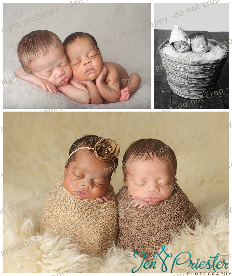 Sterling Heights Michigan Newborn Twin Photography