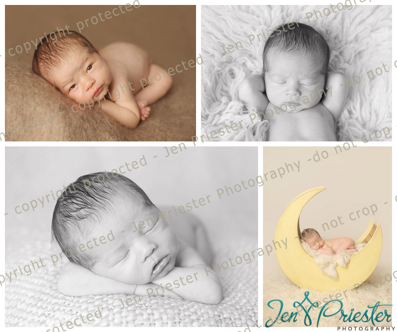 Royal Oak Michigan Newborn Photographer