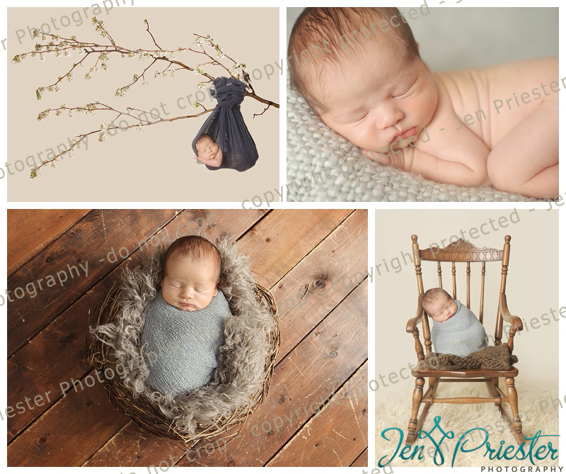 Royal Oak Michigan Newborn Photographer