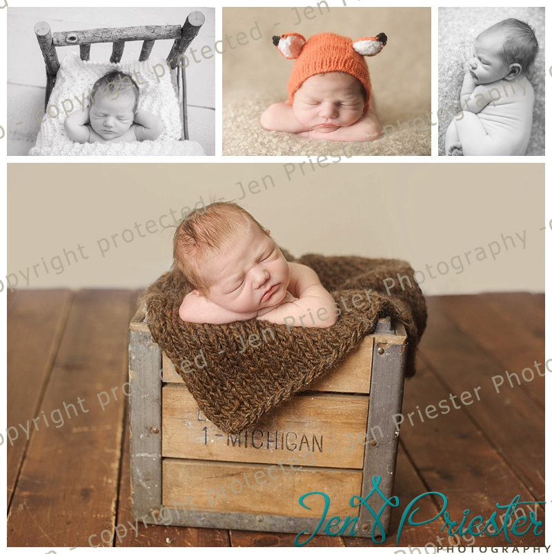 Canton Michigan Newborn Photography