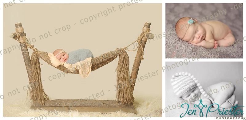 Northville Michigan Newborn Photographer