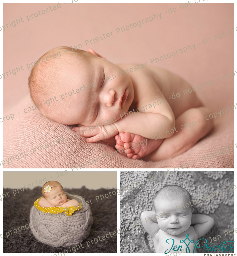 Northville Michigan Newborn Photographer
