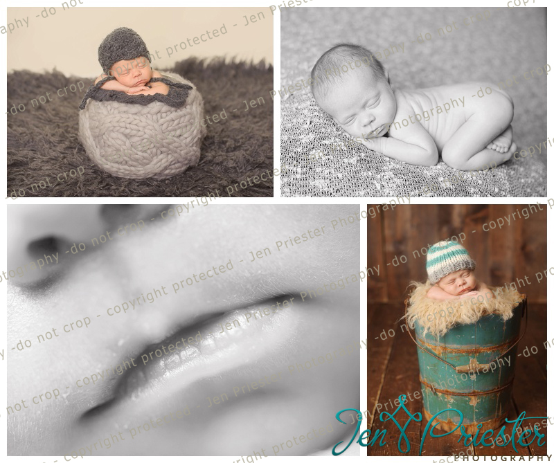 Commerce Township Michigan Newborn Photographer