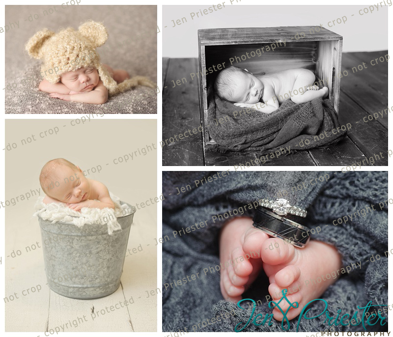 Commerce Township Michigan Newborn Photographer