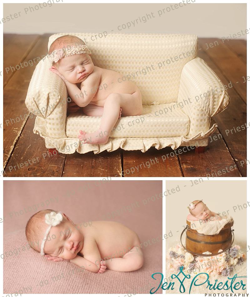 Livingston County Michigan Newborn Photographer