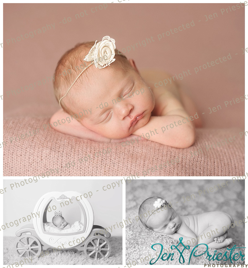 Livingston County Michigan Newborn Photographer