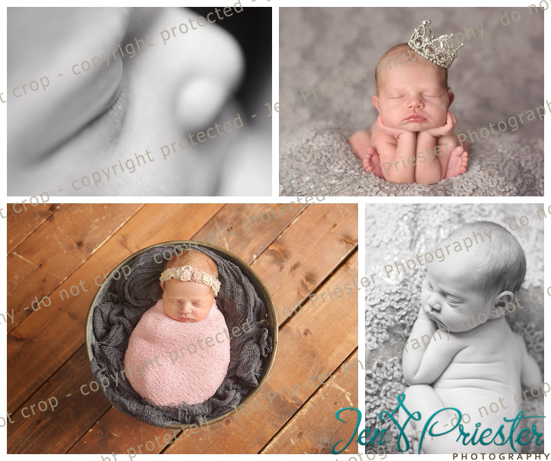 Livingston County Michigan Newborn Photographer